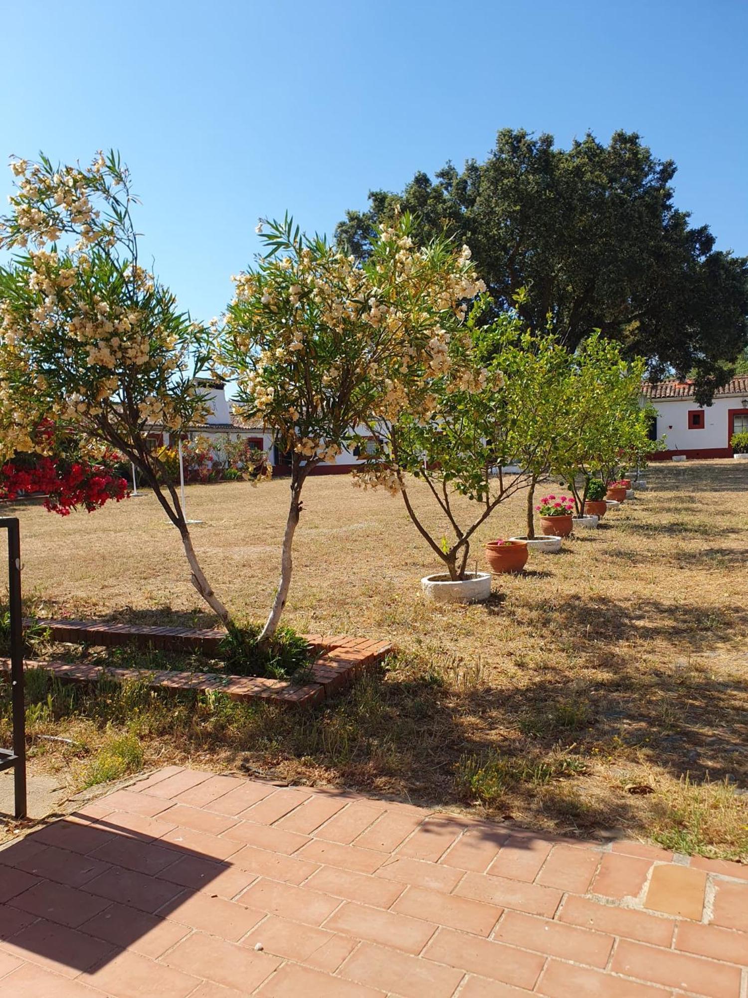 Hotel Rural El Vaqueril Navas del Madroño Exterior foto